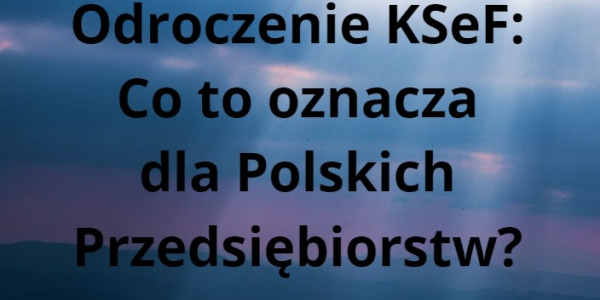 Odroczenie KSeF: Co to oznacza dla Polskich Przedsiębiorstw?